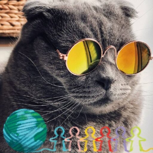 在百慕大钓鱼的人